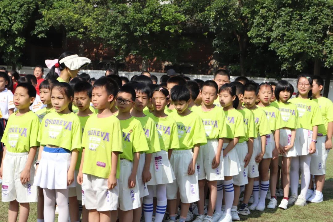 逐梦绿茵晨光足球赛,逐梦绿茵足球联赛