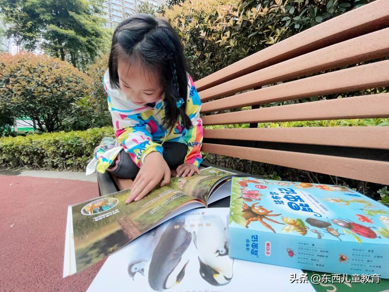 法布尔昆虫记立体书适合3-6岁儿童,法布尔昆虫记青少版必读