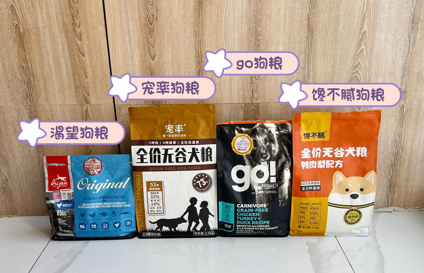 养狗不要太宠狗,养狗新手不建议养什么狗