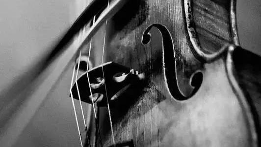 「好文分享」音乐能让我们在逆境中坚韧，也可以让人勇往直前