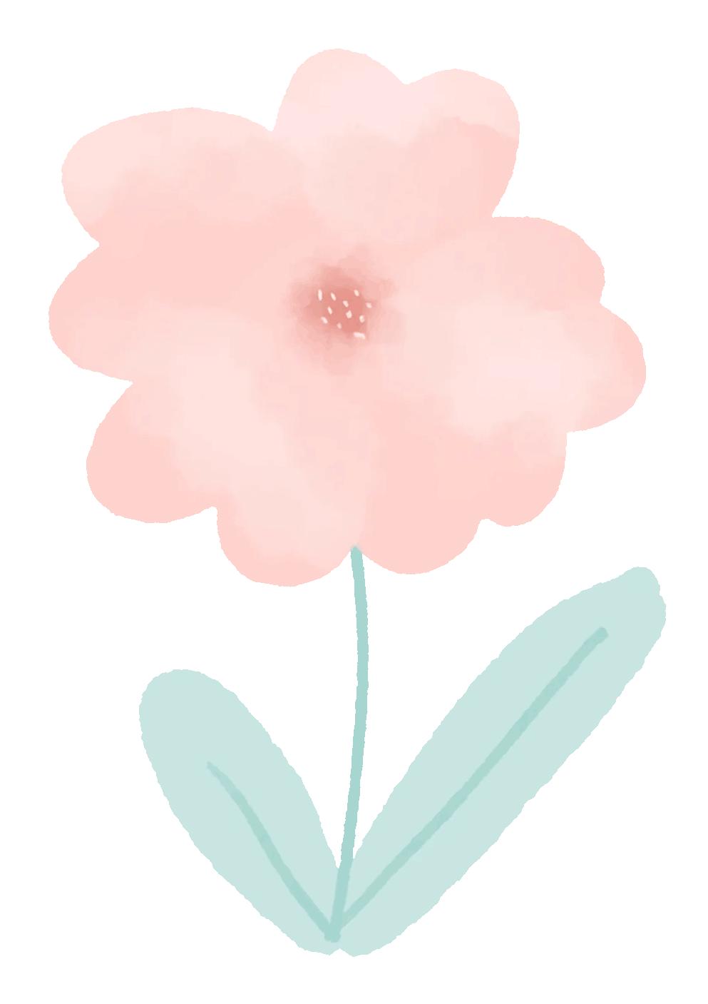 38福利节礼物,38节日福利钜惠来袭