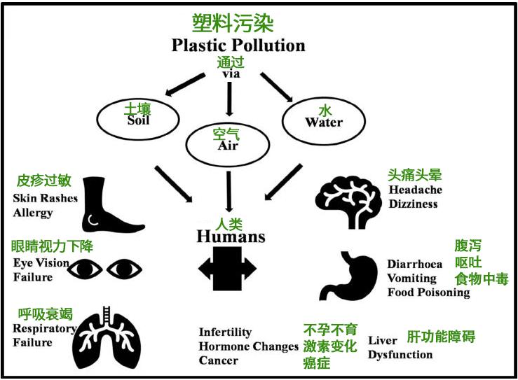 光谱探测细胞,科学家在人体中发现微塑料
