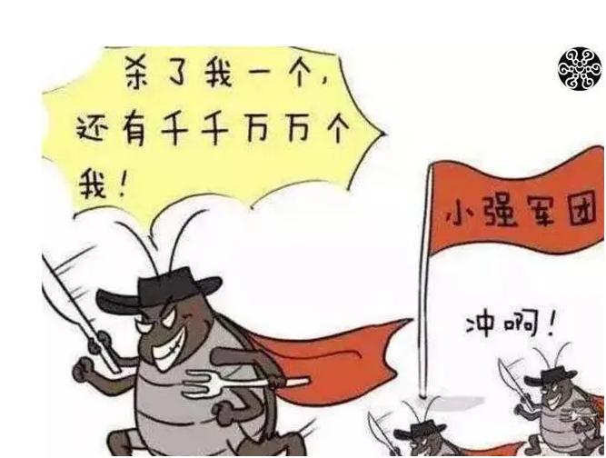 家中出现蟑螂怎么处理不伤害猫,家里有蟑螂教你一招让蟑螂去无踪