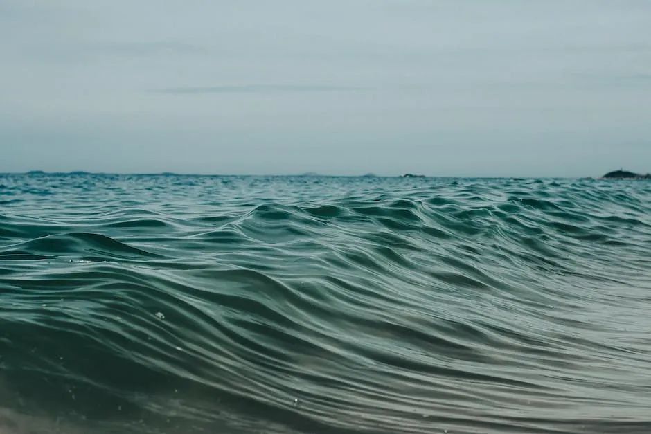 报喜鸟公司,警惕公司的这些行为