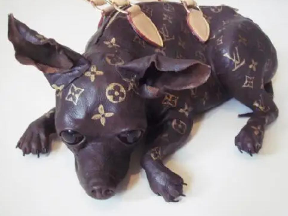 奢侈大牌推出大葱包、黄瓜包？！网友吐槽：蘸酱吃咱能炫几个…