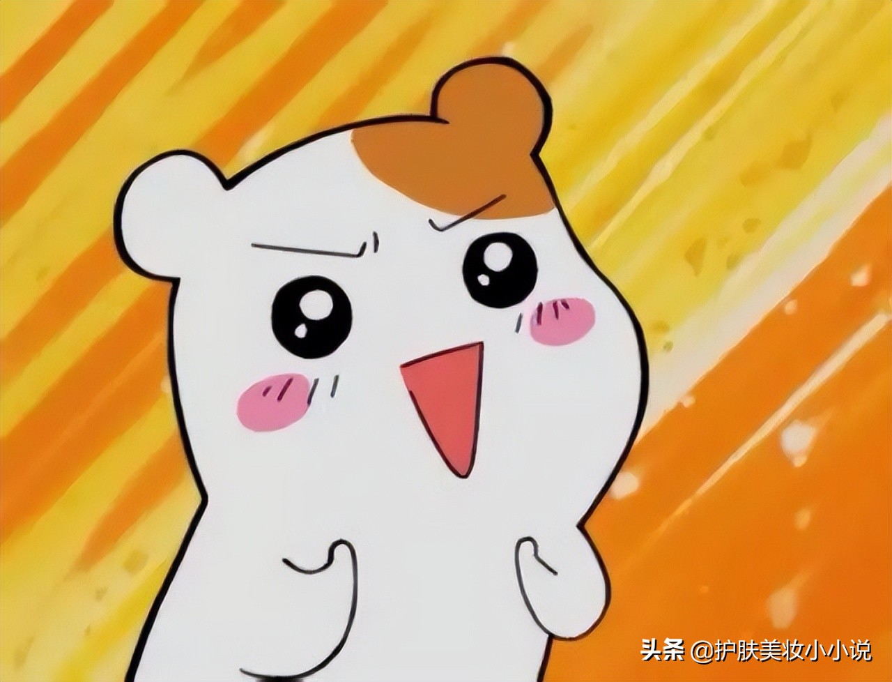 雅诗兰黛面霜混油皮用哪一款,科颜氏哪款适合油皮