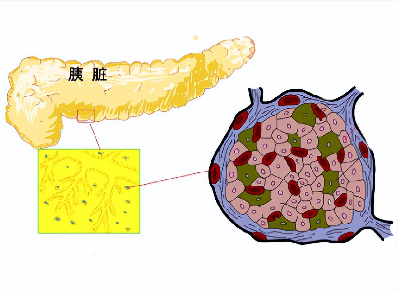 升糖指数高的食物吃多会低血糖吗,高血压人管住嘴这四种食物不能吃