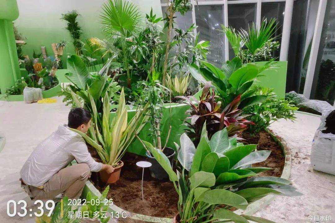 衡水园博园改造,衡水湖改造工程