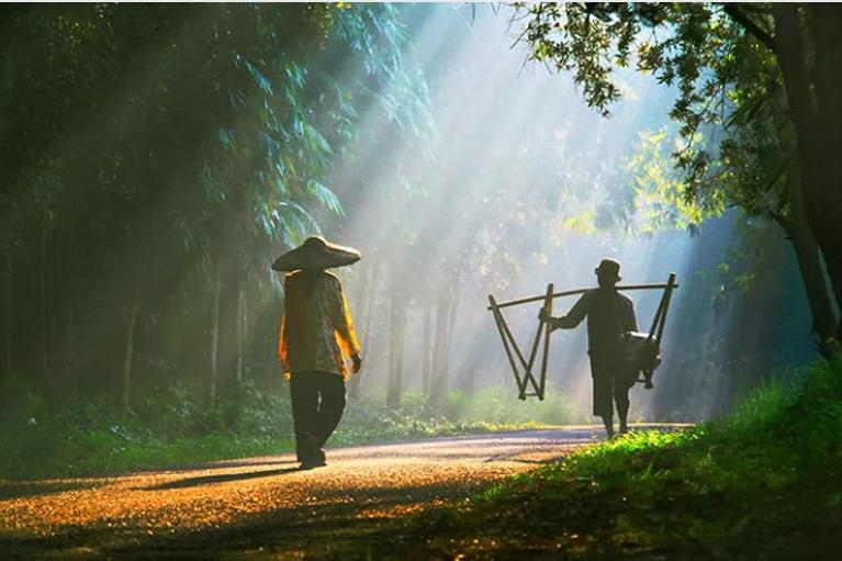 最具人间烟火的古诗词,人间烟火味满满的二十句诗词