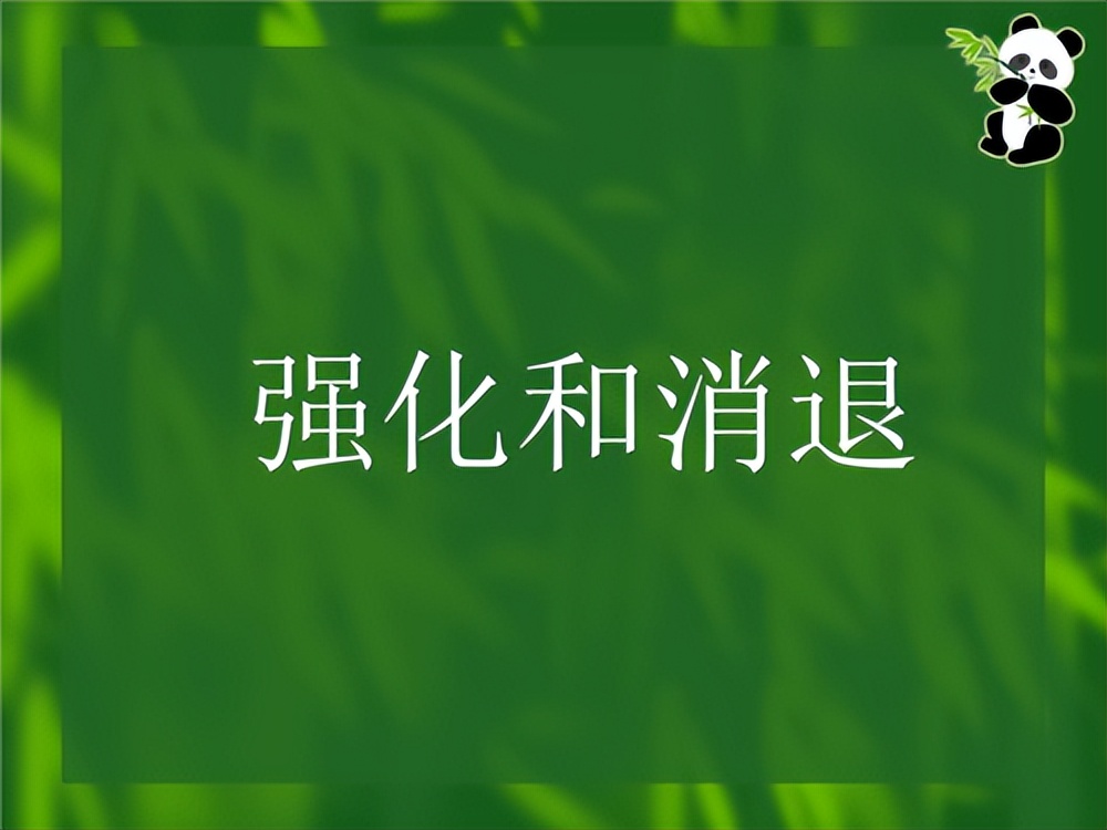 如何巧妙的说自己和别人不合适,不随意纠正别人是一种教养