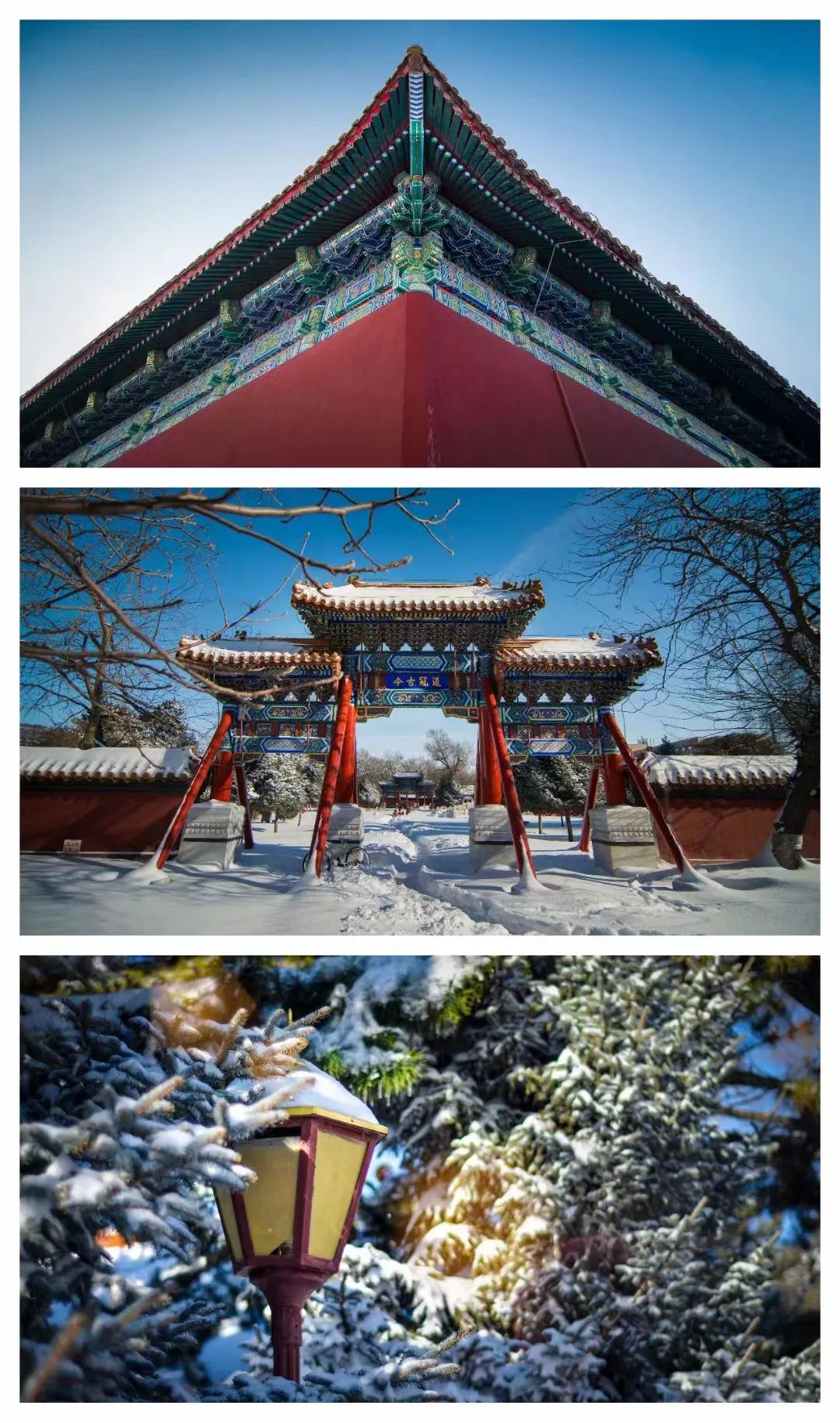 怎么在假期变霸气高冷,学生假期变胖校服穿不上了