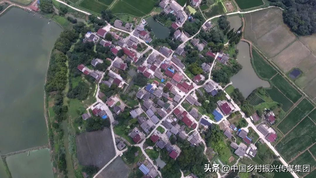 政府扶持乡村振兴的项目有哪些,2024乡村振兴政府补贴重点项目