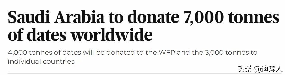 AllAbout椰枣，阿拉伯人的灵魂伴侣！附赠椰枣选品指南