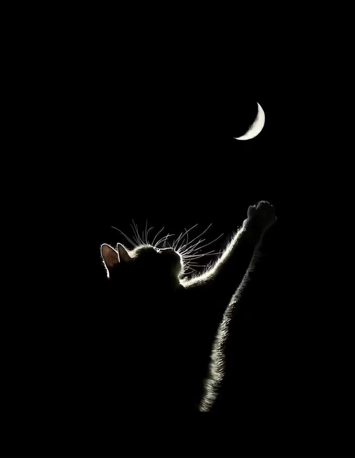 今日运势摩羯座水瓶座双鱼座,今日星座运势水瓶座12月运势