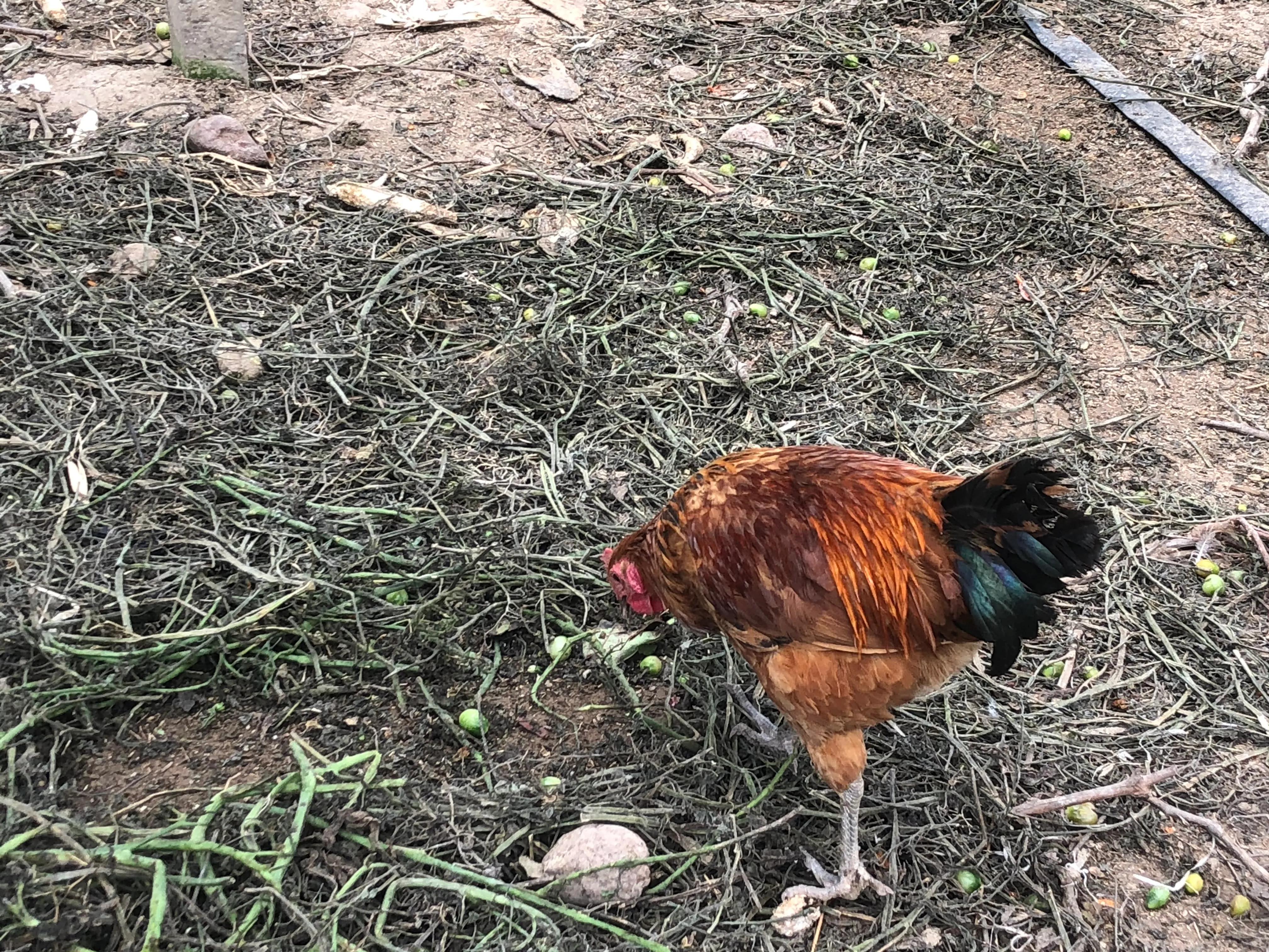 乐在其中自由自在,参与其中乐在其中意思