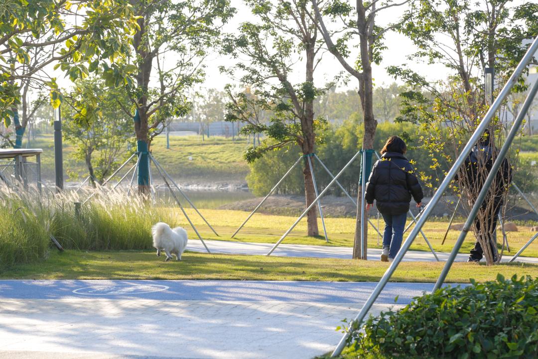 东莞滨海湾文体中心,东莞文体公园规划