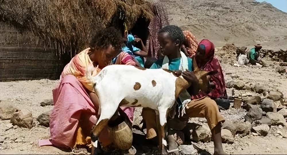 割礼比缠足更野蛮！第一位黑人超模华莉丝4岁被*暴强**，5岁惨遭割礼