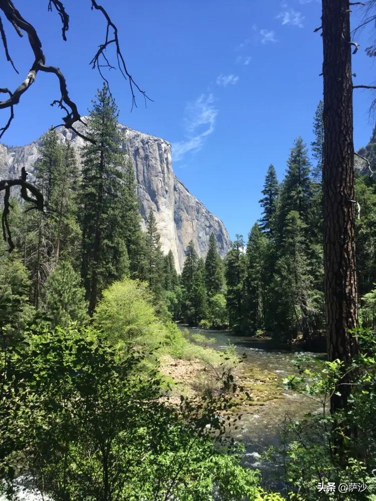 华裔女赌神被害,华裔女赌神在美被杀
