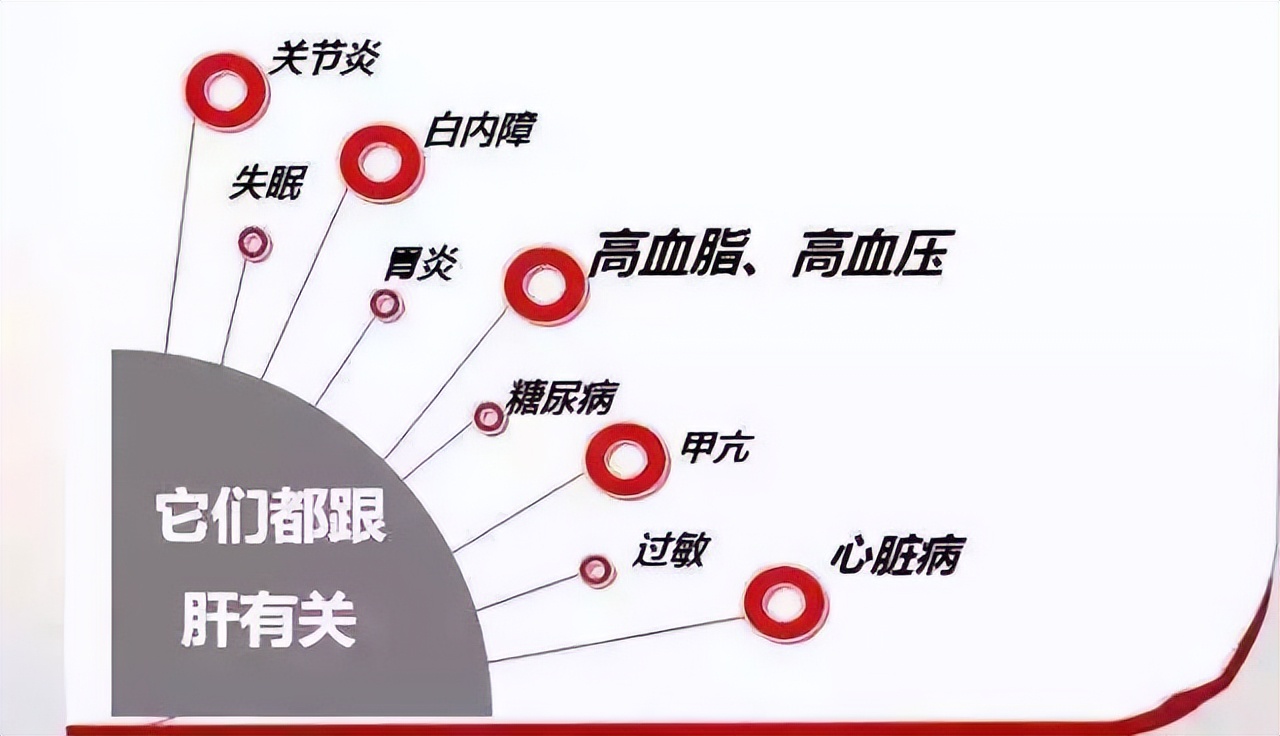 玫子科普：十二经脉，足厥阴肝经——血液中的清道夫