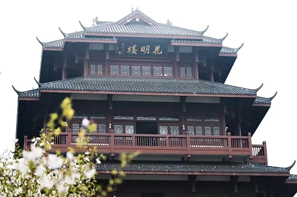 世界级的赏樱花的地方原来在这里,赏樱花的地方都在哪里