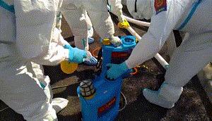 爱情最美好的样子就是与你在一起,并肩作战就是爱情最好的样子