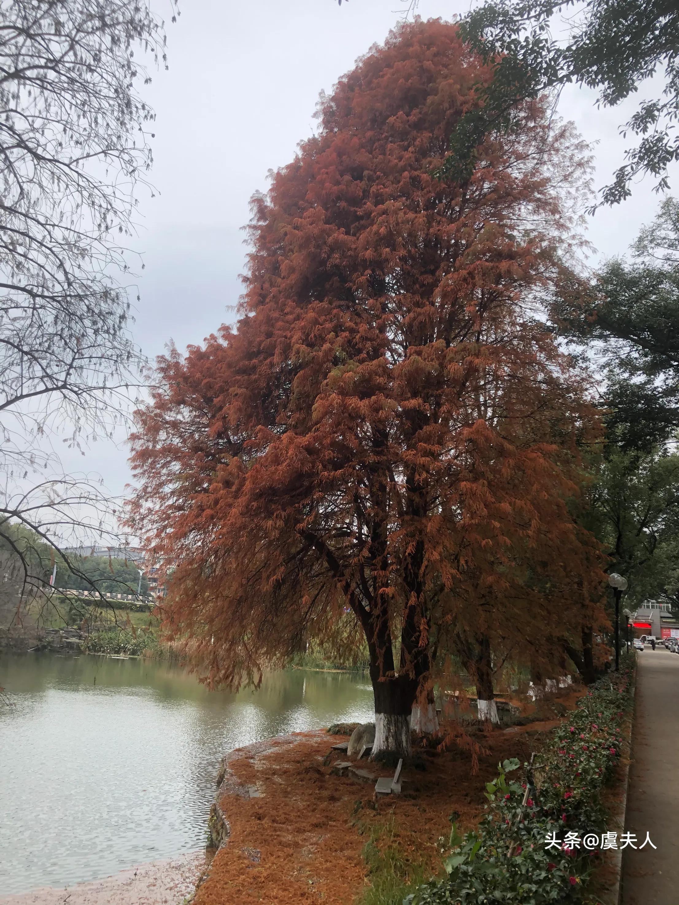 草木荣枯自有时万物从容皆可得,草木荣枯自有时出自哪里