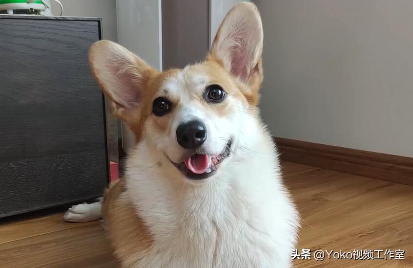 电脑的误区有哪些,对电脑认识的五个误区