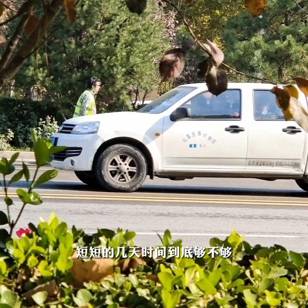 科目三自动挡一般学几天可以考试,科目三考试后几天能约科目四