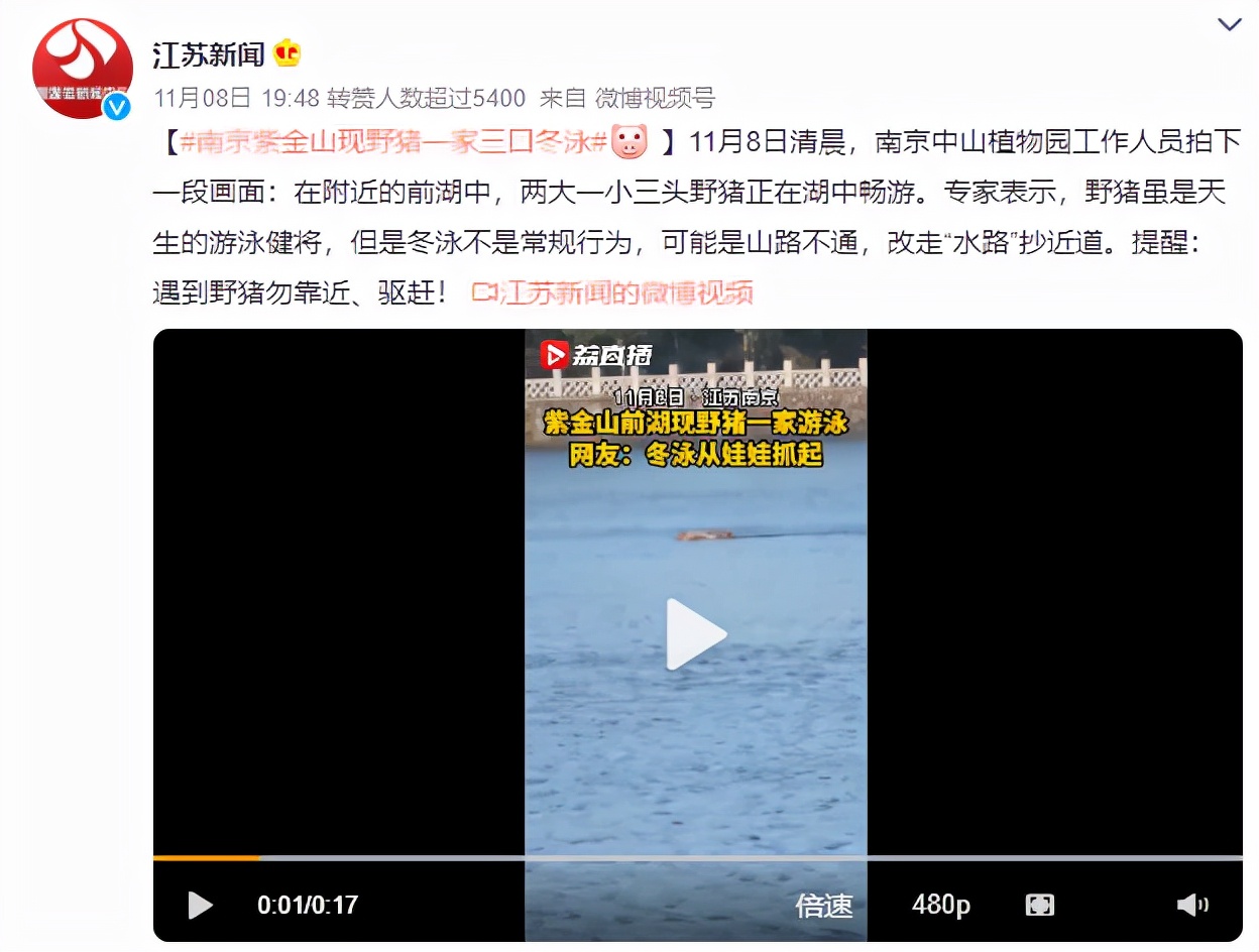 南京盐水鸭真的很好吃吗,在南京你能品尝到的小吃