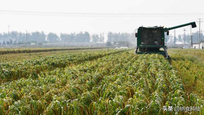 小品牌过度营销,小品牌和大品牌如何竞争