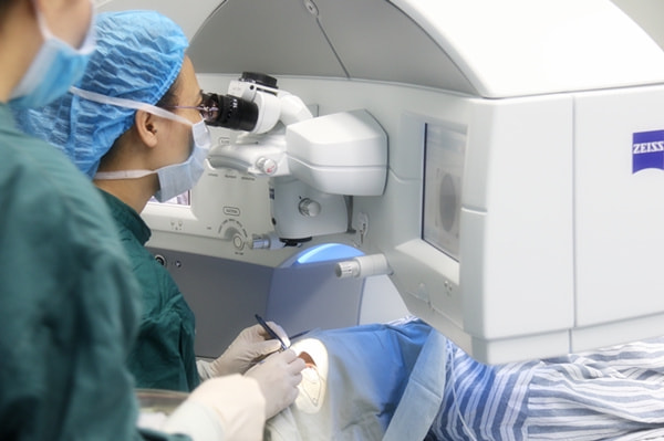 卫生间小飞虫蛾蚋的危害,卫生间小飞虫有多可怕