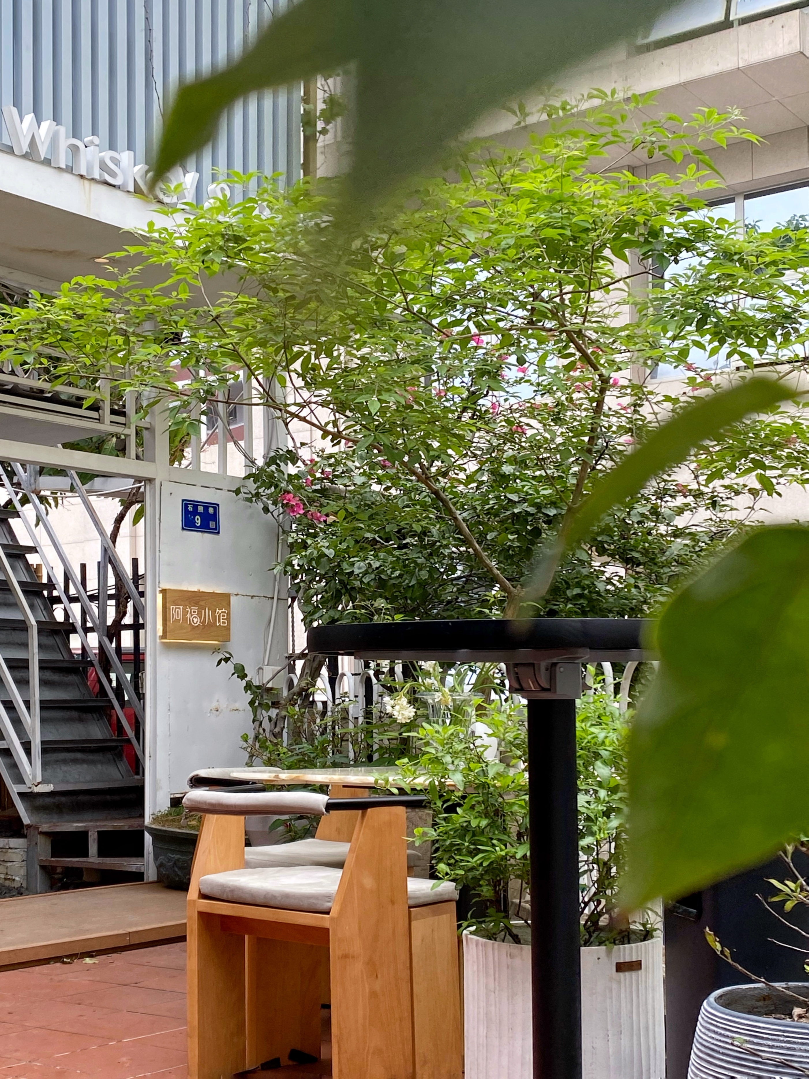 藏得很深的店探店,藏的很深的店