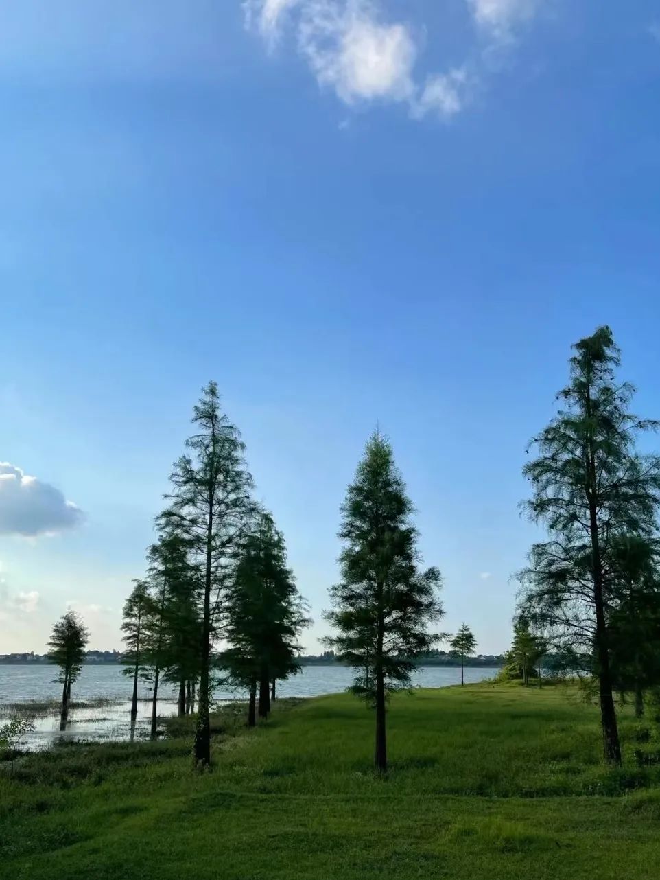 长沙适合夏天避暑打卡的地方,长沙周边旅游避暑推荐