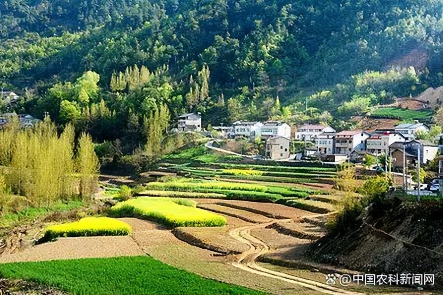 陕西省脱贫攻坚和乡村振兴统筹,陕西省乡村振兴标准体系建设规划