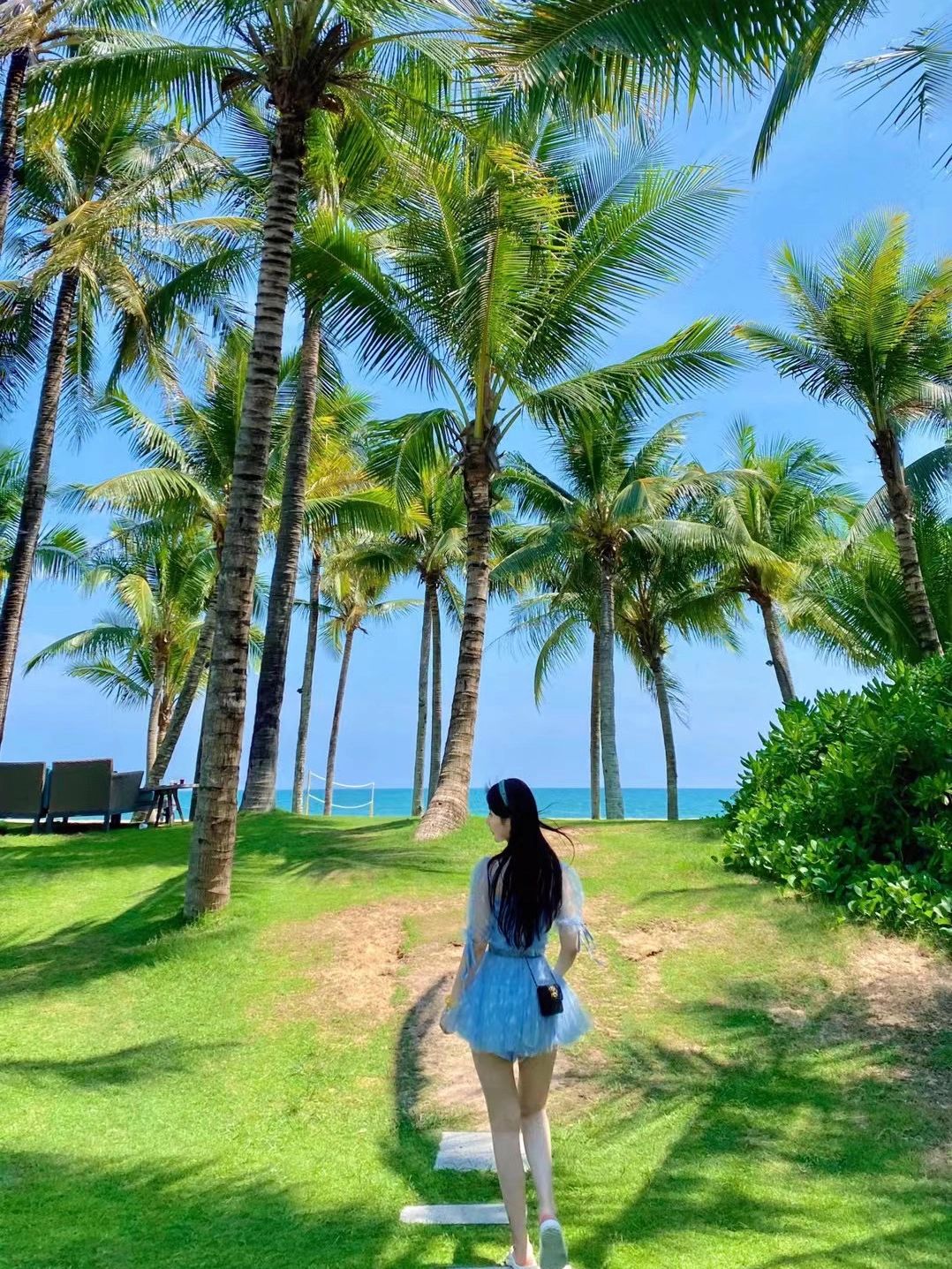 dior新款包包2023托特包,女包新款dior细包