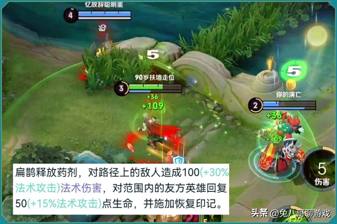 王者荣耀扁鹊30%输出和防御出装,王者荣耀扁鹊的打法和思路