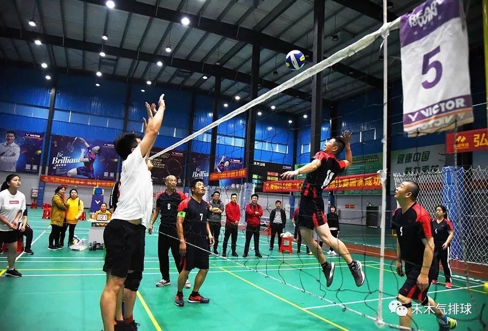 二传传球背传技巧,二传手型传球慢动作