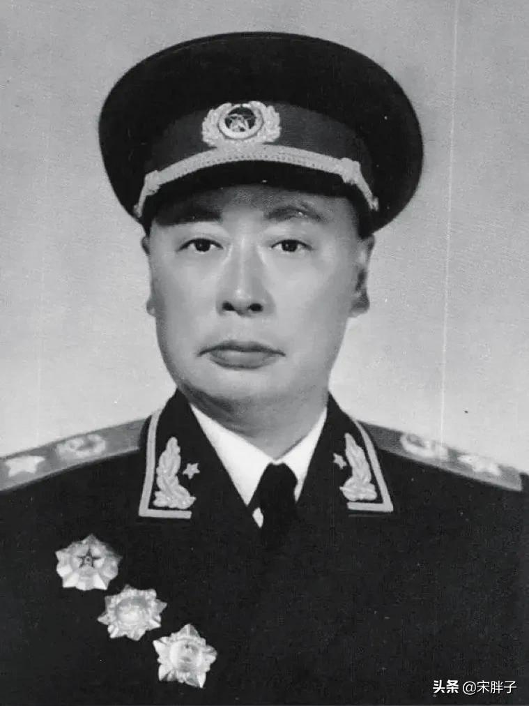 张嘉译扮演陈毅好吗,张嘉译饰演陈毅怎么样