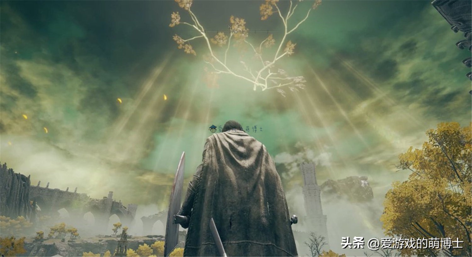 艾尔登法环卡顿掉帧怎么解决,艾尔登法环部分地图掉帧