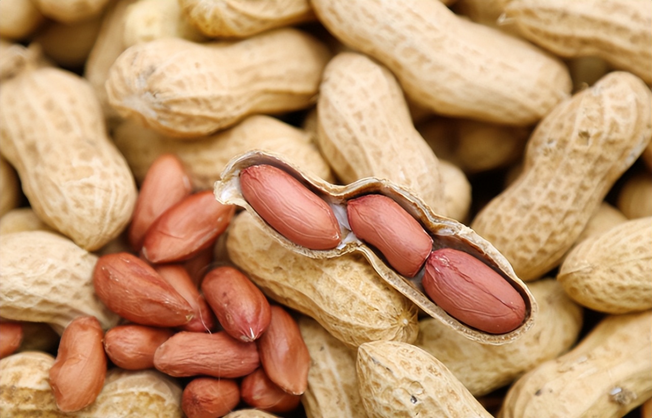 五谷杂粮有多少种豆类,五谷杂粮都有哪些豆类