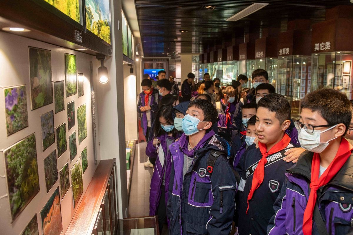 制作中医药材标本的过程,制作中医草药标本