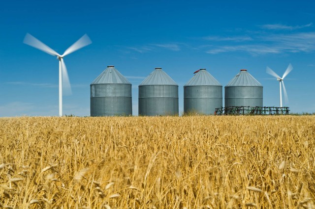 巡视为什么向30央企5家金融和体育总局亮剑，足球究竟隐藏了什么