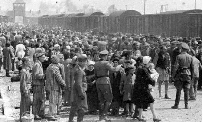 二战时期犹太人为什么被纳粹屠杀,二战中犹太人惨遭屠戮的原因