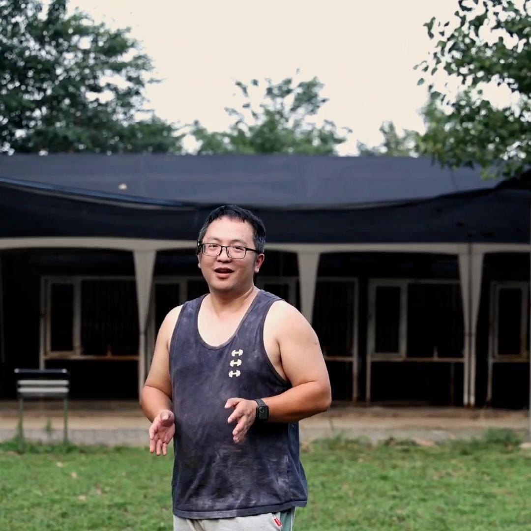 秋田犬和别的狗好相处吗,秋田犬怎么控制不和其他狗打架