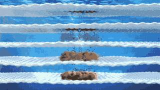 白衣服黄了怎么洗都洗不掉,白衣服有霉点怎么洗下来