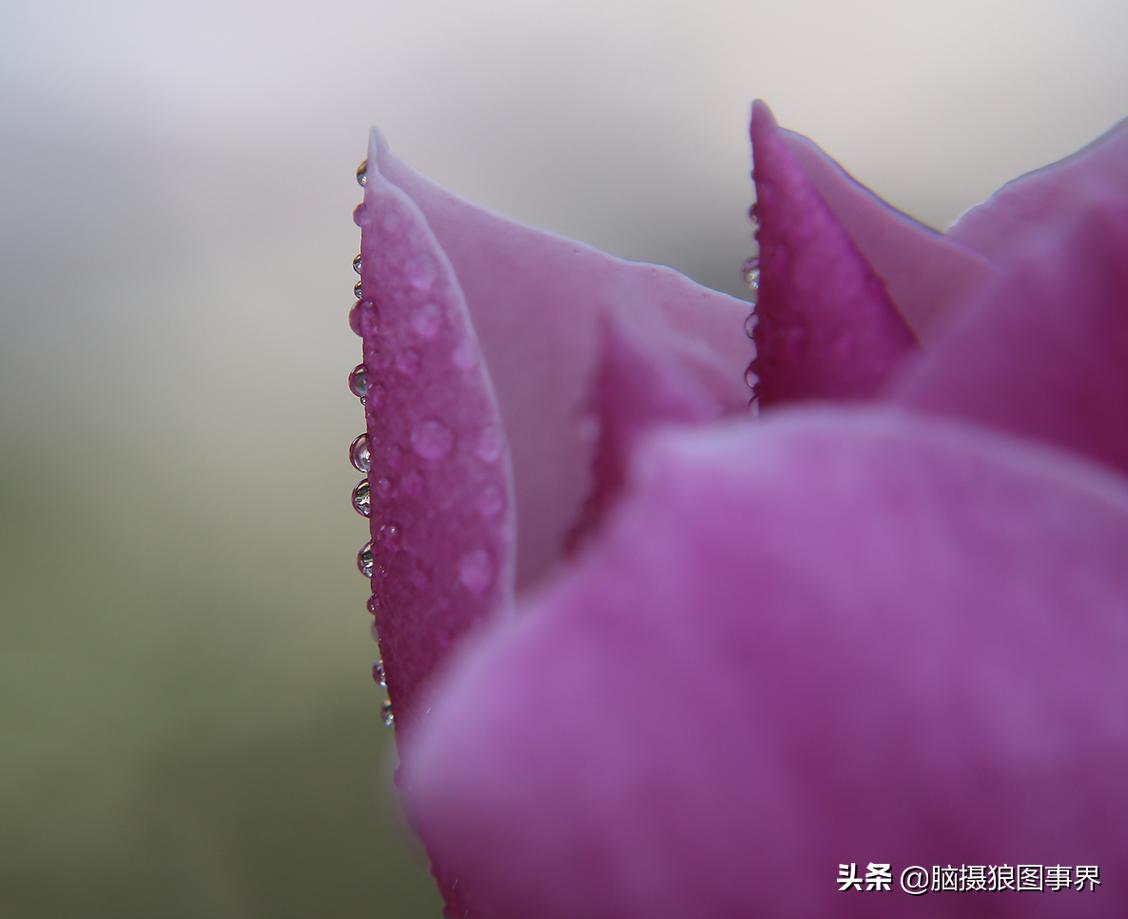 拍照如何确保对焦准确,拍照时对焦很难对上