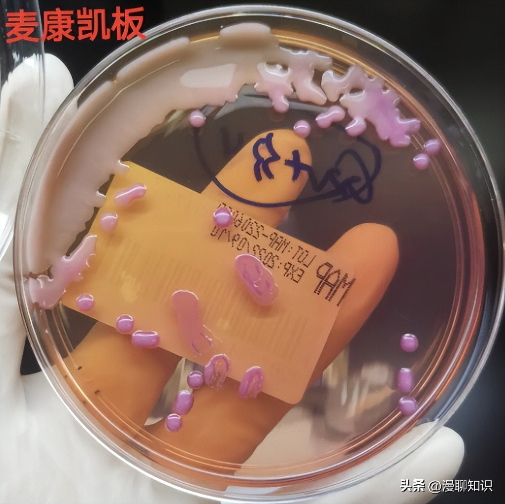 老年人得了肺炎应如何有效医治,肺炎有多严重怎么办