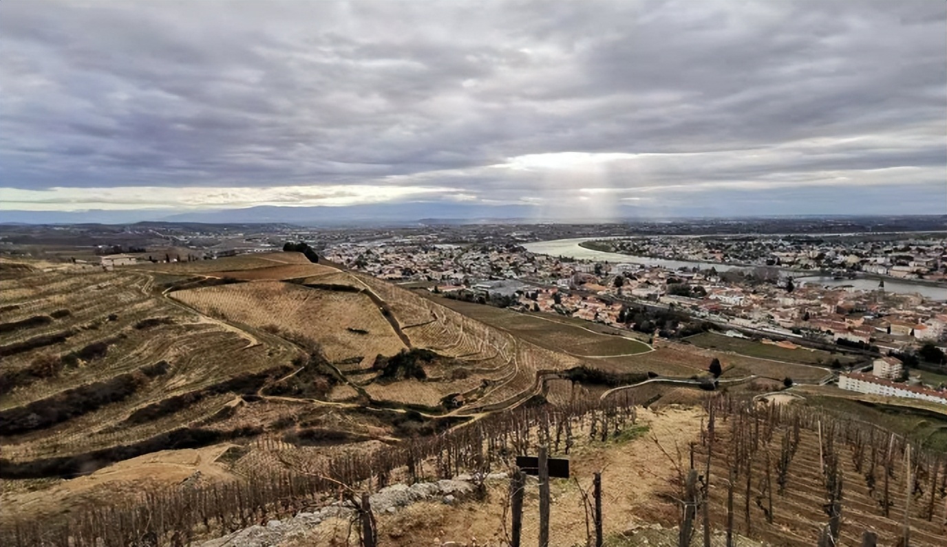 法国罗纳河谷葡萄酒,法国列级酒庄红酒推荐