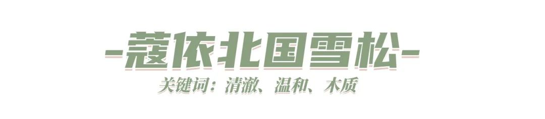 夏日高段位香水,高段位香水