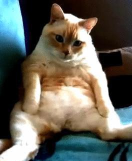 打嗝不停怎么办教你一招快速止嗝,1岁6个月宝宝打嗝怎么办快速止嗝